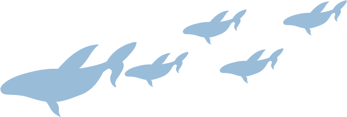 bg_on_sea_6